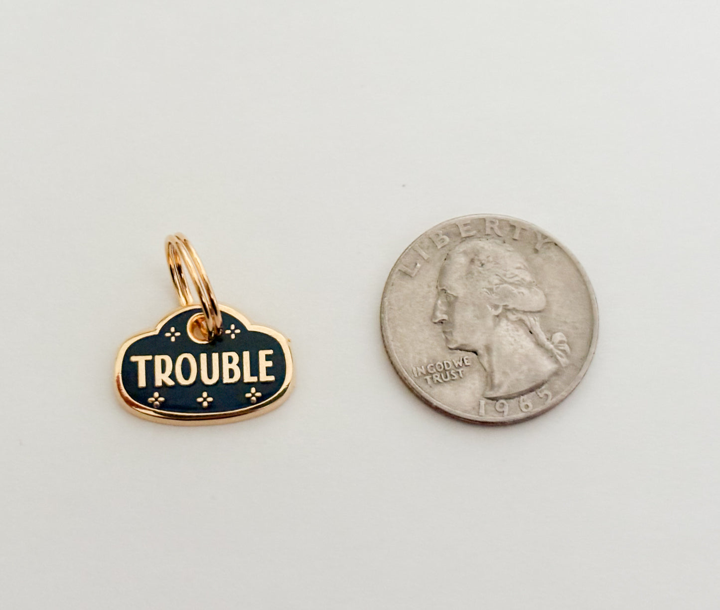 A teal and gold colored pet collar charm that reads "trouble"  and is next to a quarter.