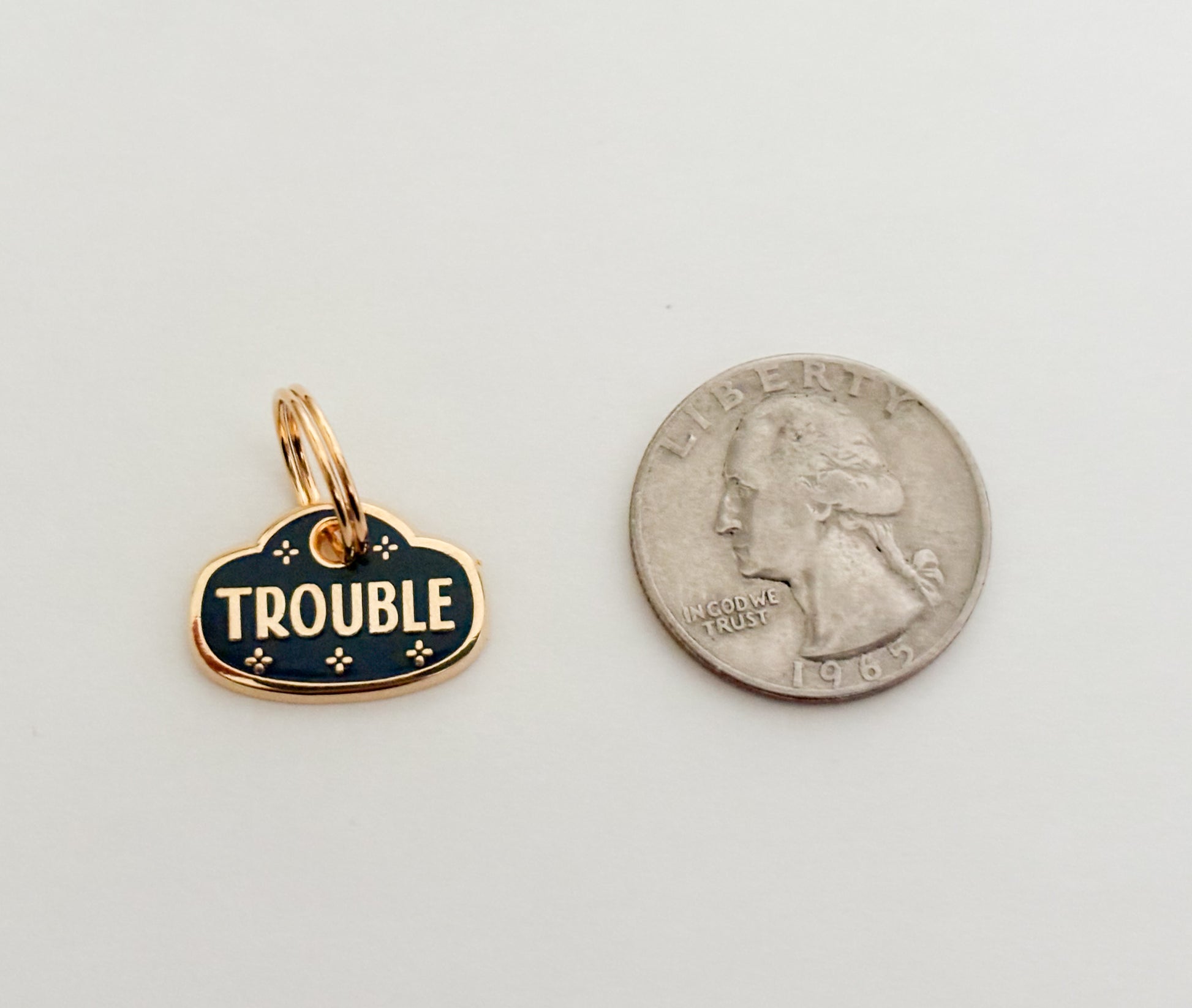 A teal and gold colored pet collar charm that reads "trouble"  and is next to a quarter.